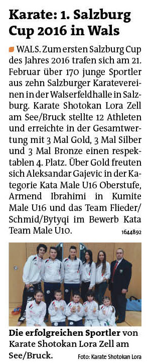 2016-03-02_Bezirksblatt-Pinzgau.jpg